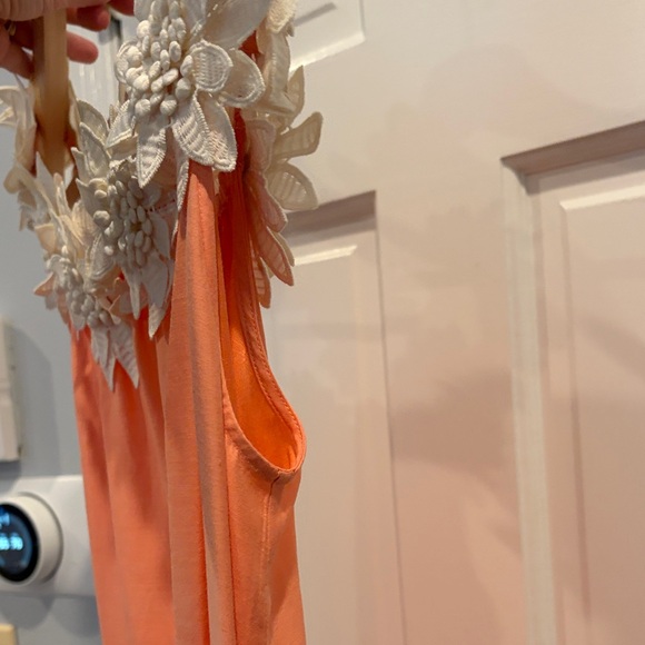 Miguelina Peach and Ivory Maxi Dress - Picture 9 of 14